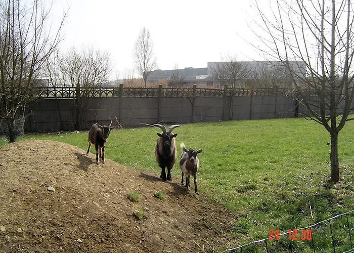 B&B Aux Plumes De Grigy *