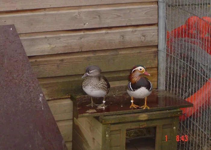 B&B Aux Plumes De Grigy